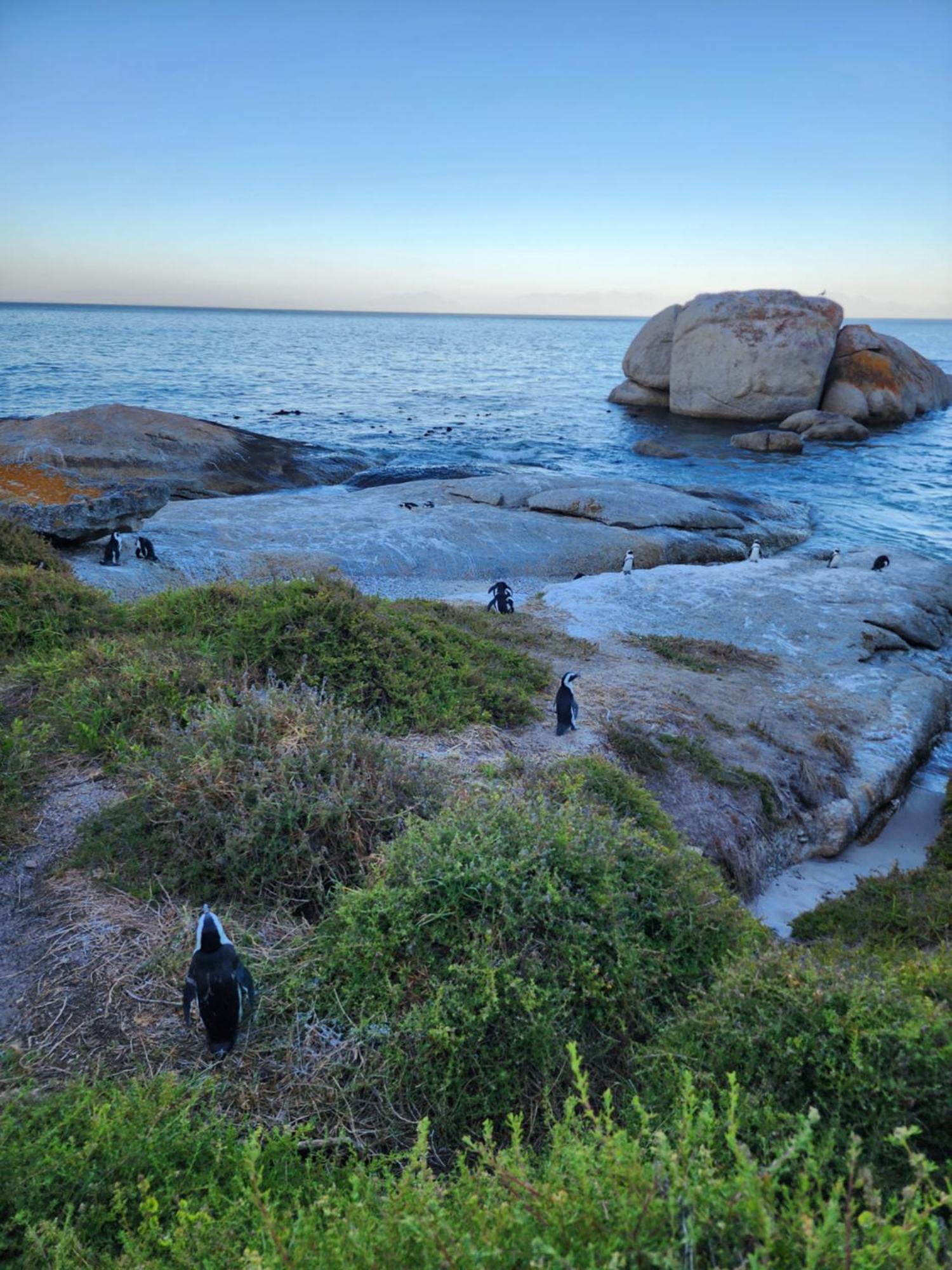 Boulders Blue Bed And Breakfast Саймонс-Таун Екстер'єр фото